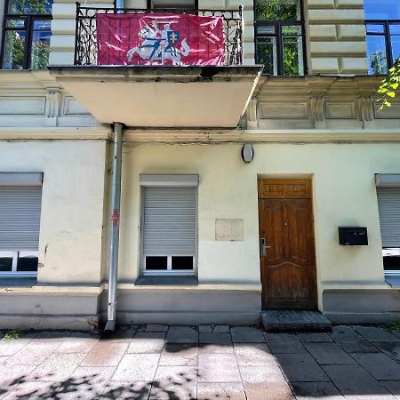 Vilnius Central Cozy Stay Buitenkant foto